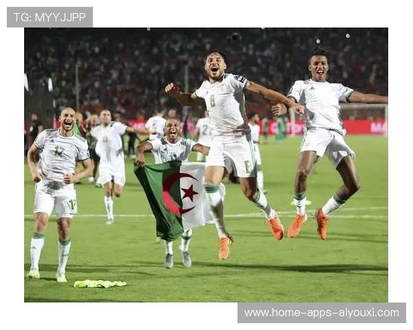 世界杯赛场文化冲突的解决之道被讨论